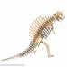 3D Wooden Simulation Animal Dinosaur Assembly Puzzle Model Educational Gift Toy for Kids and Adults #S030  B07HJYL4DG
